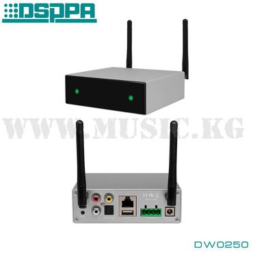 Гитары: Стерео усилитель DSPPA DW0250 Цифровой усилитель 50 Вт × 2 канала при