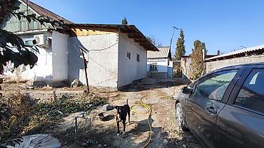 4 комнаты, 60 м², 85 соток, Шопоков, Собственник