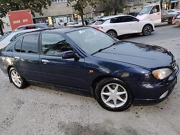 Транспорт: Nissan Primera: 2001 г., 1.8 л, Механика, Бензин, Седан — 3