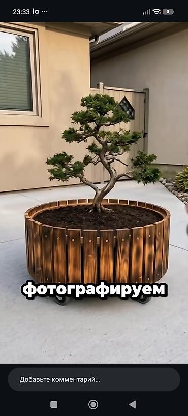 деревянные колеса: Кашпо и вазоны, Платная доставка — 3
