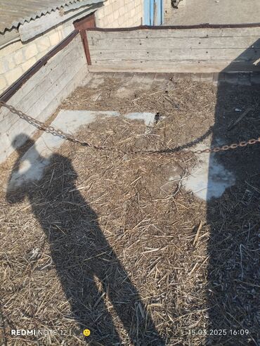 Traktorlar: Təkərləri super mator yeni yığılıb disqiləri pambıq diskləri hava -da lalafo.az — 9 Traktorlar: Təkərləri super mator yeni yığılıb disqiləri pambıq diskləri hava — 9