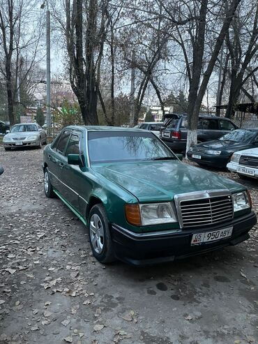 Mercedes-Benz: Mercedes-Benz W124: 1992 г., 2.5 л, Механика, Дизель, Седан