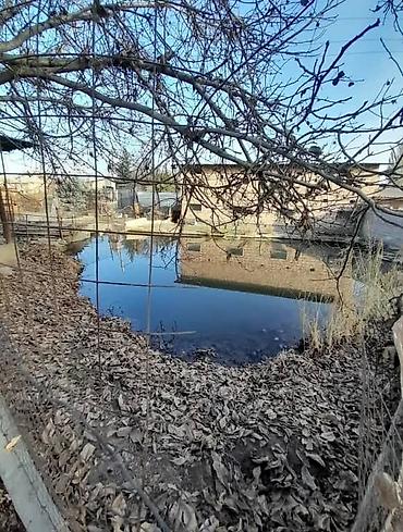 Продажа участков: 18 соток, Для бизнеса — 2