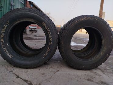 Шины: Шины 245 / 65 / R 17, Зима, Б/у, Комплект, Внедорожные (АТ/МТ), Cooper — 2