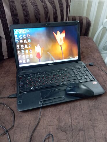 ноут 11: Ноутбук, Toshiba, 15.6 ", Для несложных задач, память HDD