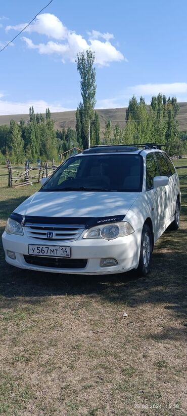 красный машина: Honda Odyssey: 2000 г., 2.3 л, Автомат, Бензин, Минивэн