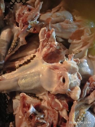 doner eti: Quzu çənəsi dilə kanpilekt kim isdese vatcapda yazsın ədədi 2 manat — 3