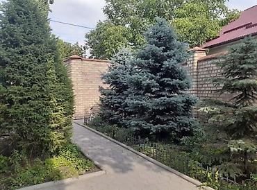 баха магистирал: Сдаю Отдельное здание, дом, 6 комнат и более, 364 м², С игровой площадкой — 4