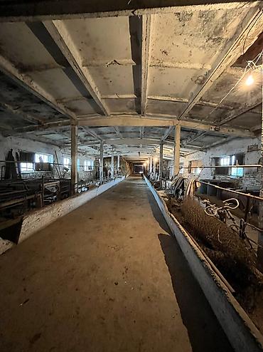 Аренда цехов, заводов и фабрик: Продается ферма (сарай) в г.Кара-Балта, село Ак-Башат. 3х комнатная — 5