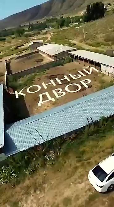 квартиры с панорамными окнами: 500 соток, Для бизнеса, Красная книга — 5