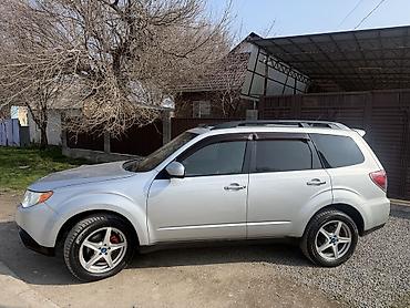 Subaru: Subaru Forester: 2009 г., 2.5 л, Автомат, Бензин, Кроссовер — 4