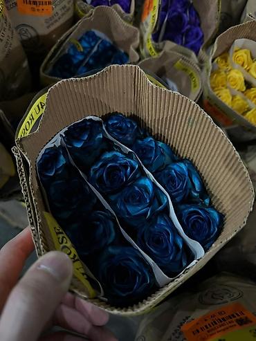 ps satış: Florist, Qadın, 40 yaş, 1-2 illik təcrübə — 1