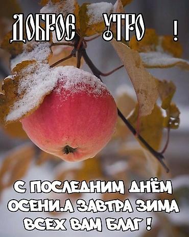 Кондитерские изделия, сладости: Мини‑тарты с фруктами - Ассорти мини‑тарталеток на сливочном песочном — 9