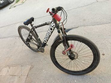 İdman velosipedləri: Dağ velosipedi Adidas, 29"