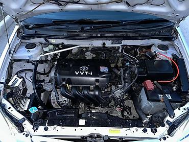 Toyota: Toyota Corolla: 2003 г., 1.5 л, Автомат, Бензин, Хэтчбэк — 9