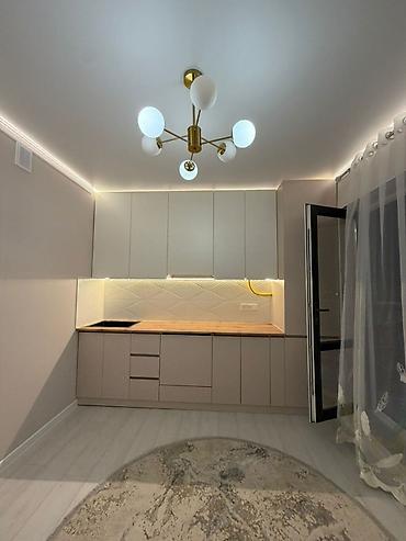 flat osh: 1 комната, 45 м², Технопарк Элитка, 4 этаж, Евроремонт — 4