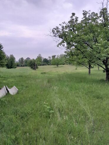 Torpaq sahələrinin satışı: 75 sot, Tikinti, Maklerlər narahat etməsin, Kupça (Çıxarış) -da lalafo.az — 3 Torpaq sahələrinin satışı: 75 sot, Tikinti, Maklerlər narahat etməsin, Kupça (Çıxarış) — 3
