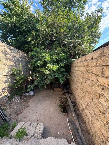 heyet yellencekleri: 2 otaqlı, 2 kv. m, Kredit yoxdur, Təmirsiz