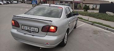 страховочные ремни: Nissan Primera: 2001 г., 1.8 л, Механика, Бензин, Седан — 5