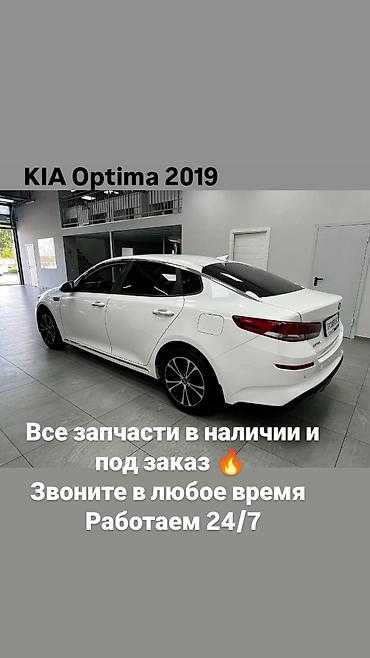 Запчасти для KIA Optima 2019 - Все запчасти в наличии и под заказ -