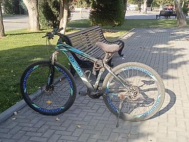 adidas velo: Velosibet suraxanıdadır real aliciya endirim olacaq prablemi 3dis olan — 8