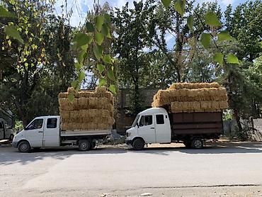 коврик на панель: Грузовик, Дубль, 3 т, Б/у — 4