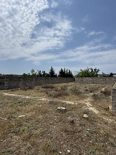 samaxida torpaq sahesi satilir: 4 sot, Tikinti, Mülkiyyətçi, Kupça (Çıxarış) — 5
