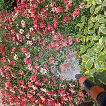 Bağbanlar: Profesional bağban xidməti ağac və kolların əkilməsi budanması -da lalafo.az — 29 Bağbanlar: Profesional bağban xidməti ağac və kolların əkilməsi budanması — 29