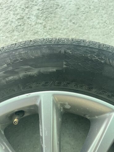 колесо на газ 52: Колеса в сборе 205 / 65 / R 16, Всесезонная, Комплект, Легковые, Литые