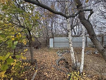 жыгач үйлөр: В ПГТ. Пристань-ПржевальскПродаётся земельный участок с домом и — 7
