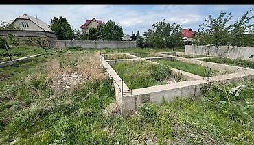 5 соток, Курулуш, Кызыл китеп