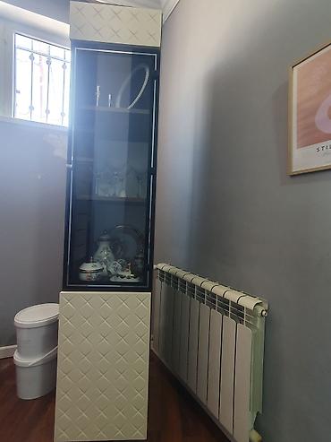 ıkıncı el dolap: Ela veziyyetde — 1