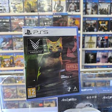 pleystesin: PS5 "Stray" oyunu PlayStation Hər bir məhsula zəmanət verilir — 1