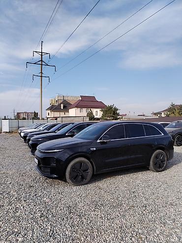 Lixiang: Lixiang : 2025 г., 1.5 л — 1