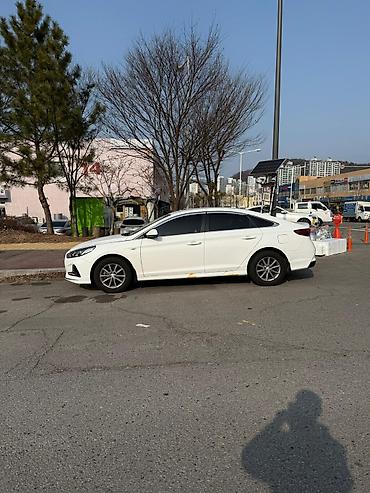 sonata: Hyundai Sonata: 2021 г., 2 л, Автомат, Газ, Седан — 4