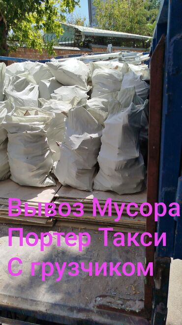 туалет для кошек наполнитель: Вывоз Мусора вывоз Мусора Вывоз Мусора Вывоз Мусора вывоз Мусора