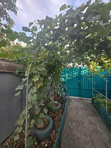 Продажа коттеджей и домов: 2 комнаты, 56 м², 1 соток, Кара-Балта at lalafo.kg — 5 Продажа коттеджей и домов: 2 комнаты, 56 м², 1 соток, Кара-Балта — 5