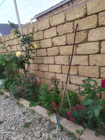 Həyət evləri və villaların satışı: 3 otaqlı, 350 kv. m, Kredit yoxdur, Orta təmir -da lalafo.az — 2 Həyət evləri və villaların satışı: 3 otaqlı, 350 kv. m, Kredit yoxdur, Orta təmir — 2