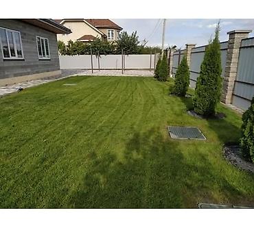 Газон: Сеем газон, Поссев газон, Газон себебиз 🌱 под ключ 🏡по городу бишкек — 9