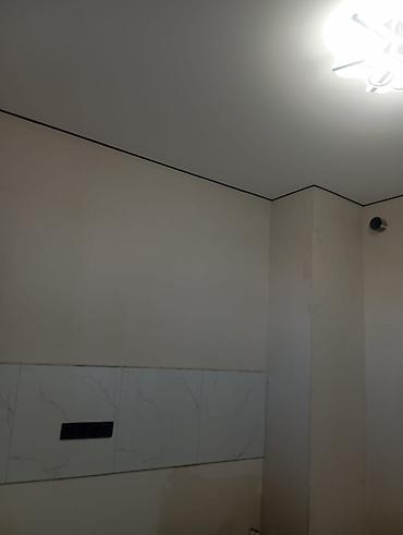 7 1: 1 комната, 48 м², Пишпек Элитка, 2 этаж — 3