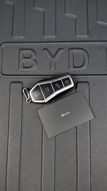 BYD: BYD E2: 2024 г., Электромобиль, Хетчбек — 7