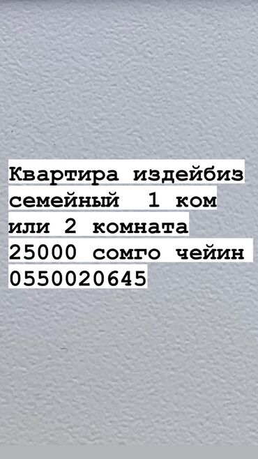 квартира спутник: 1 бөлмө, 35 кв. м, Эмереги менен, Эмерексиз