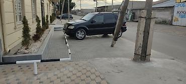 devo matiz: Mercedes-Benz M-Class: 1998 г., 3.2 л, Автомат, Бензин, Внедорожник — 2