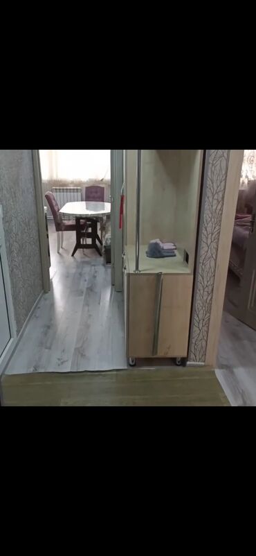 приют для животных в баку адрес: Ev gençlik də yerləşir gençlik malın yani Əli Nino parkın qarşısında 2