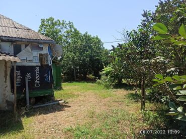 Bağ evlərinin satışı: Nabranda çox qözel menzerede hem denize yaxın hemde meşenin kenarında — 19
