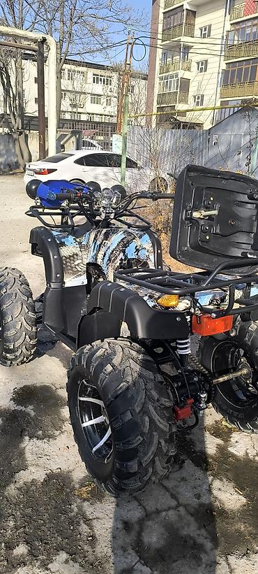 Квадроциклы: Квадроцикл ATV (двухместный), внедорожный. Основные характеристики и — 6