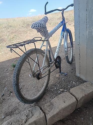 yük velosiped: Oyama şəhər/dağ tipli velosiped - Güllü-mavi və ağ rəngli — 2