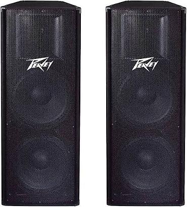 pc case: Пара акустических систем Peavey (паспортные колонки линейки — 1