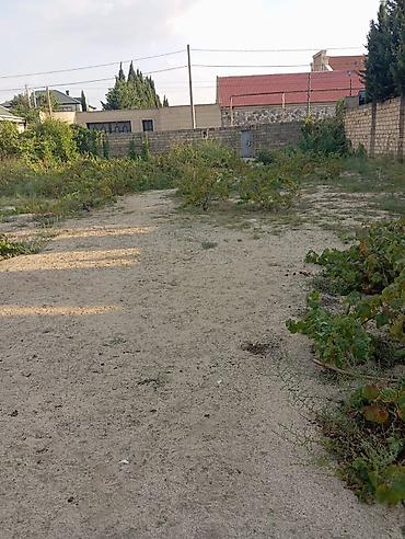 8 sot, Tikinti, Mülkiyyətçi, Kupça (Çıxarış)