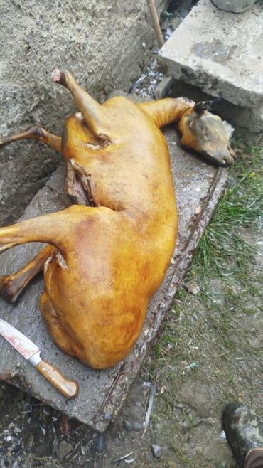 фуршет бишкек цены: Выездные банкеты | Касапчы